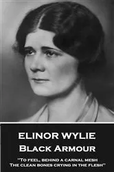 Book cover of Black Armour by Elinor Wylie