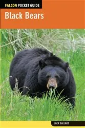 Book cover of Black Bears by Jack Ballard