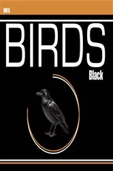 Book cover of Black birds by Hassan Dofil