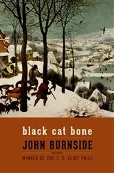 Book cover of Black Cat Bone by John Burnside