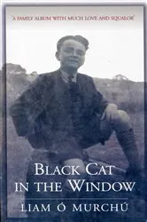 Book cover of Black Cat in the Window by Liam Ó Murchú