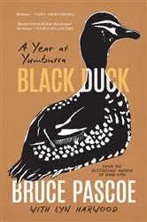 Book cover of Black Duck by Janet Taylor Lisle