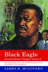 Book cover of Black Eagle by James R. Mcgovern