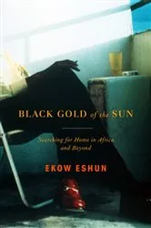 Book cover of Black Gold of the Sun by Ekow Eshun