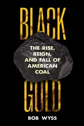 Book cover of Black Gold by Marguerite Henry