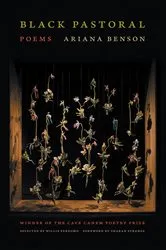 Book cover of Black Pastoral by Unknown