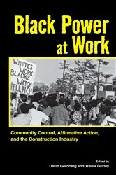 Book cover of Black Power at Work by David Goldberg