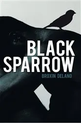 Book cover of Black Sparrow by Broxin Delano