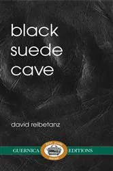 Book cover of Black Suede Cave by David Reibetanz