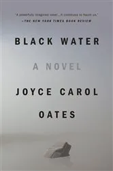Book cover of Black Water by Faith Hunter