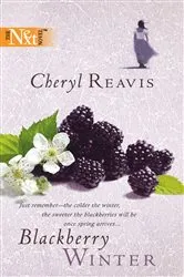 Book cover of Blackberry Winter by Sarah Jio