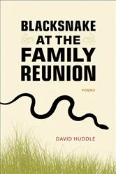 Book cover of Blacksnake at the Family Reunion by David Huddle