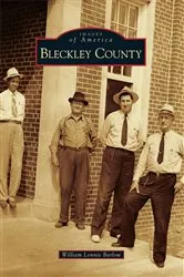 Book cover of Bleckley County by William Lonnie Barlow