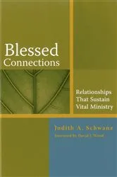 Book cover of Blessed Connections by Judith Schwanz