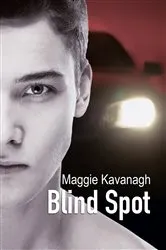 Book cover of Blind Spot by Chris Fabry