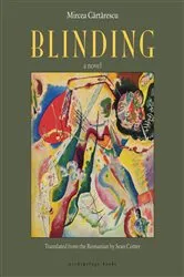 Book cover of Blinding by Unknown