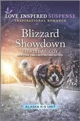 Book cover of Blizzard Showdown by Shirlee McCoy