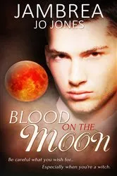 Book cover of Blood on the Moon by Steers, Jr., Edward