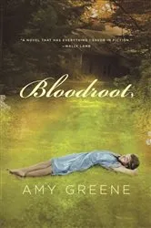 Book cover of Bloodroot by Amy Greene