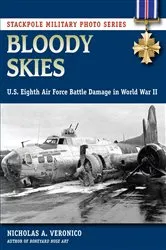 Book cover of Bloody Skies by Nicholas A. Veronico