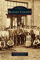 Book cover of Blount County by Linda Braden Albert