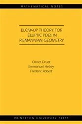 Book cover of Blow-up Theory for Elliptic PDEs in Riemannian Geometry by Olivier Druet