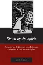 Book cover of Blown by the Spirit by David R. Como