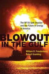 Book cover of Blowout in the Gulf by William R. Freudenburg