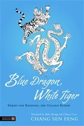 Book cover of Blue Dragon, White Tiger by S. Robertson