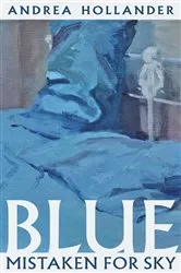 Book cover of Blue Mistaken for Sky by Andrea Hollander