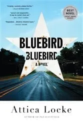 Book cover of Bluebird, Bluebird by Attica Locke