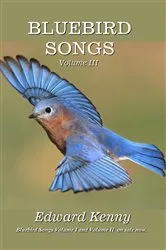 Book cover of Bluebird Songs (Volume III) by Edward Kenny