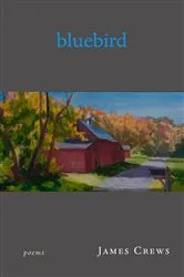 Book cover of Bluebird by Ciel Pierlot