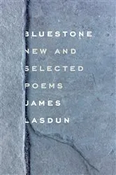 Book cover of Bluestone by James Lasdun