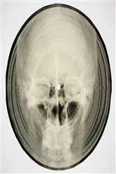 Book cover of Bone Music by Stephen Coates
