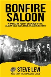 Book cover of Bonfire Saloon by Steve Levi