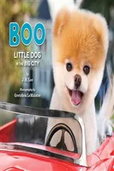 Book cover of Boo: Little Dog in the Big City by J.H. Lee