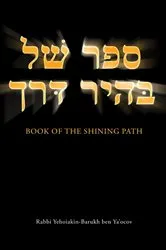 Book cover of Book of the Shining Path by Jay Newcomb
