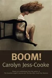 Book cover of Boom by Michael Shnayerson