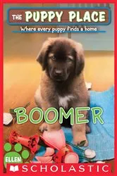 Book cover of Boomer (The Puppy Place #37) by Ellen Miles