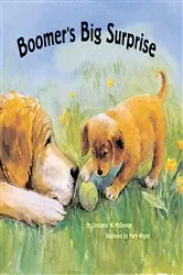 Book cover of Boomer's Big Surprise by Constance W. McGeorge