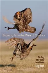 Book cover of Booming from the Mists of Nowhere by Greg Hoch