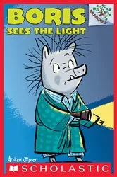 Book cover of Boris Sees the Light by Andrew Joyner