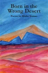 Book cover of Born in the Wrong Desert by Misha Tentser