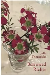 Book cover of Borrowed Riches by Julie Thorndyke