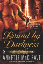 Book cover of Bound By Darkness by Alexandra Ivy