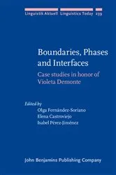 Book cover of Boundaries, Phases and Interfaces by Unknown