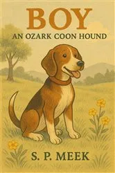Book cover of Boy: An Ozark Coon Hound by S. P. Meek
