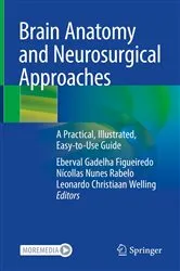 Book cover of Brain Anatomy and Neurosurgical Approaches by Eberval Gadelha Figueiredo