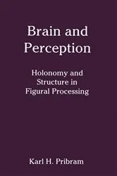 Book cover of Brain and Perception by Karl H. Pribram